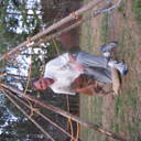 Tim Hubbard - @TimHub - Twitter