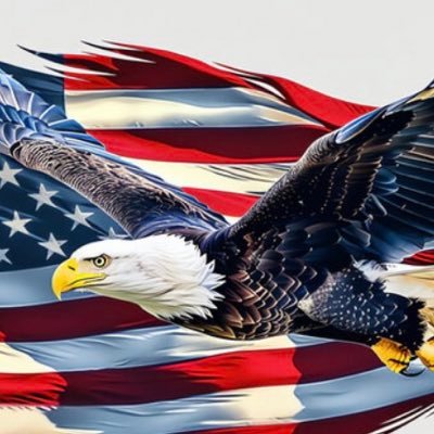 bearybewrite's profile picture. Concerned Patriot, mixed kid dad, bjj blackbelt. “The USA must not only remain as a symbol of freedom, but must also survive as a stronghold of freedom”.