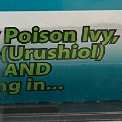 UMomoomo's profile picture. 