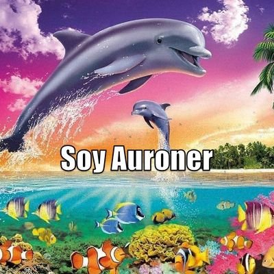 Lifeboo86439173's profile picture. 