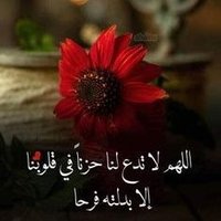 موجب للجادين فقط صنعاء (@dmmyd3) 's Twitter Profile