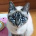 hinatase (@hinatase) Twitter profile photo hinatase (@hinatase) Twitter profile photo