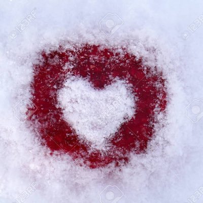 Blood on Snow 🌸 shtwt