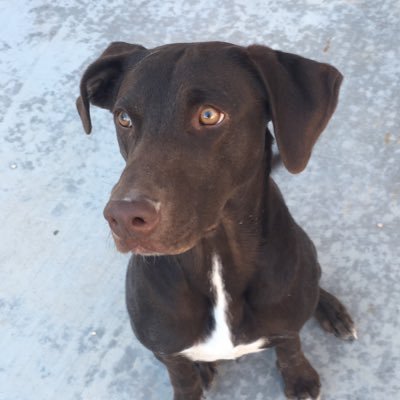 PaperboyHenry's profile picture. left California in’94, lived in Nevada since, never looked back.  retired in’17,had a podcast with my great grandson.