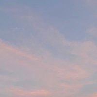 wakasugi (@wakasugitaisei) Twitter profile photo