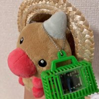 ビードルの生活 (@beedle_chan013) 's Twitter Profile Photo ビードルの生活 (@beedle_chan013) 's Twitter Profile Photo