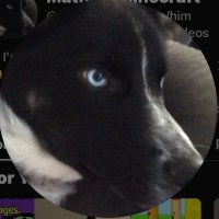 MathewYT (@reinamathe88936) 's Twitter Profile