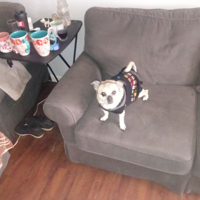 thedrizzle411's profile picture. I'm just here for the free bread sticks