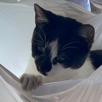 Yui (@yui_315705) 's Twitter Profile Photo