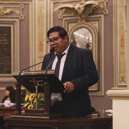 Politólogo por la UAP, Estudiante de Económia UNAM, Dirigente del METS A.C, CEO del Científico Político, Obradorista.