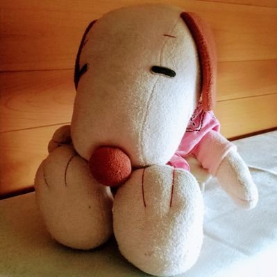 90年代後半~00年代前半の特撮作品に感心があります。幅広く色んなジャンルを知っていきたいと考えています。
趣味は読書、風景の写真を撮ること、映画鑑賞、散歩など。