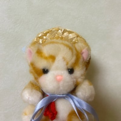 161vj's profile picture. おにんぎょう 𝑳𝑶𝑽𝑬_____