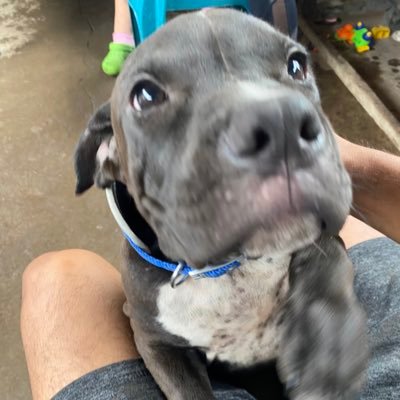 jeffryruiz96's profile picture. 