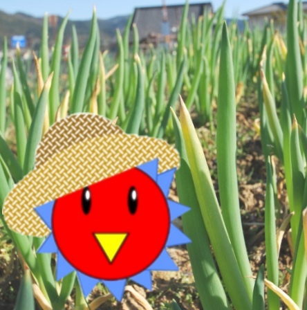 nyopepo's profile picture. みくみくにされてる、とある社畜です。基本ROM専。コトノハシマイカワイイヤッター教入会