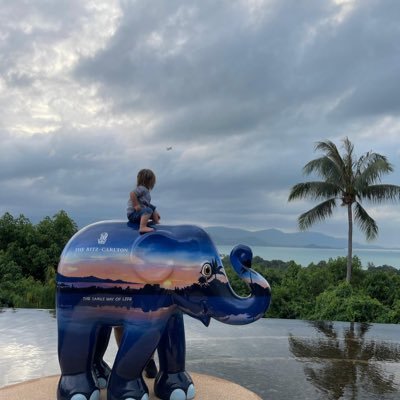 ShapiroyoniYoni's profile picture. 