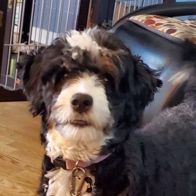 Matriarchy667's profile picture. Retired Nurse, wife, Conservative, Catholic  If you DM me I will block you