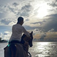 طلال الشمري (@v6tme) 's Twitter Profile
