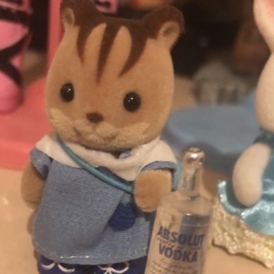 whoiisanaf's profile picture. — 🌷Sylvos collector ⠀ ⠀ ⠀⠀⠀⠀ ⠀⠀ ⠀