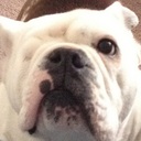 Will Miranda - @wiletogrande - Twitter