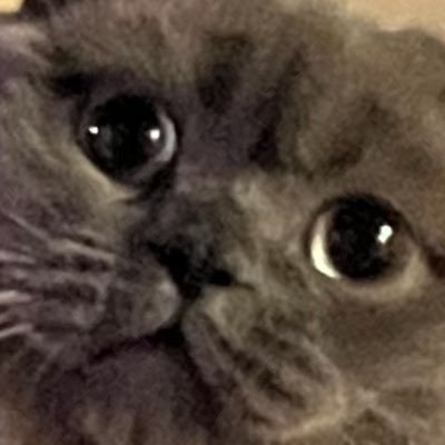 clarkcarolyn630's profile picture. 