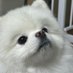 Yeon (@_yeon940) Twitter profile photo Yeon (@_yeon940) Twitter profile photo