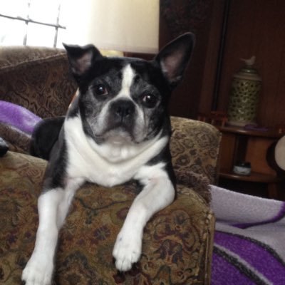 Maddamekimbo's profile picture. Country girl; Retired; Blue to core and supporting Kamala 2024🌊.Women’s Rights and protecting public education are just two of the reasons I support the Blue!