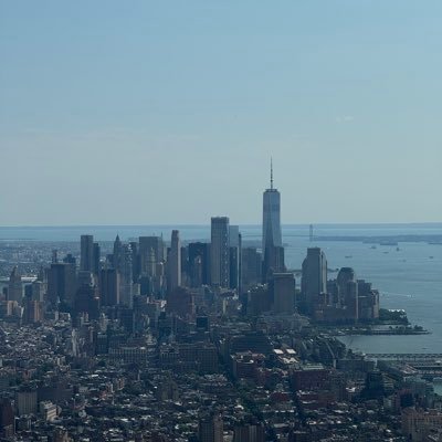 DaringInvestor's profile picture. My tweets are Not Financial Advice!