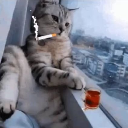 lykkdoty22's profile picture. 