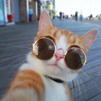 كلوديا (@klavvdija) 's Twitter Profile Photo