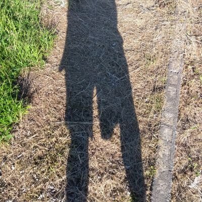 Question46494's profile picture. ？？？