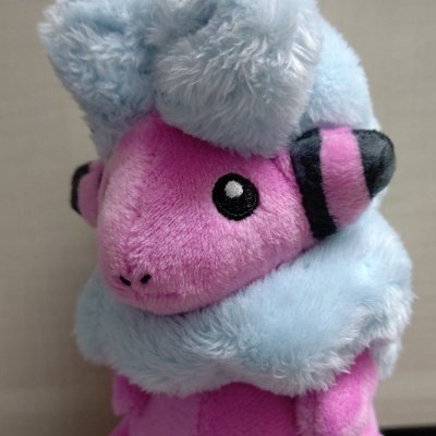モココさんのプロフィール画像