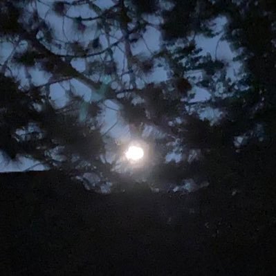 dailyremind999's profile picture. CASAWI