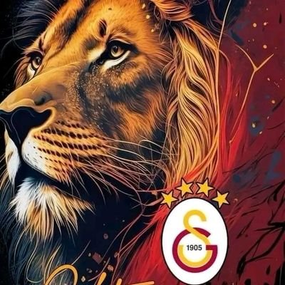 Mehmetz87562563's profile picture. 