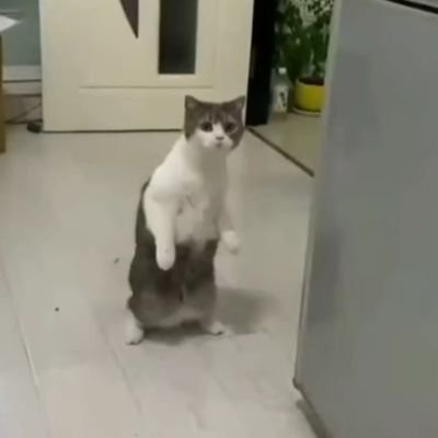 _maddy_o_0's profile picture. ‌Ew, people

‌