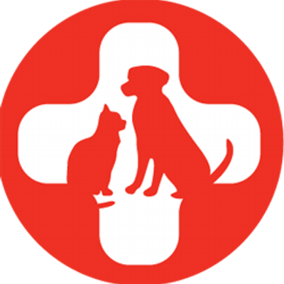 Spca International Spcaint Twitter Spca International Spcaint Twitter