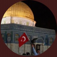 Mehmet solmaz (@mmehmetsolmaz) 's Twitter Profile