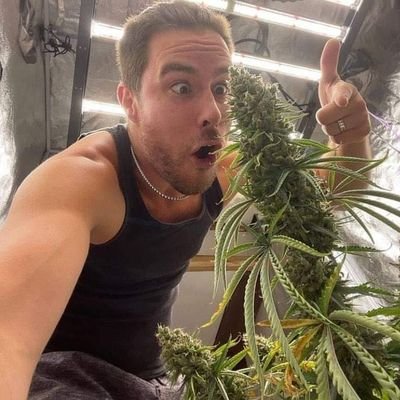 Always working on the latest strains 🍀🔌good strains for pain 🔥dep and nosy 💯LEGIT💯 shipping globally to all states and to Europe Tapin let work now