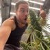 MJ Weedman🍀🔥⛽ (@mark_vorge420) Twitter profile photo MJ Weedman🍀🔥⛽ (@mark_vorge420) Twitter profile photo