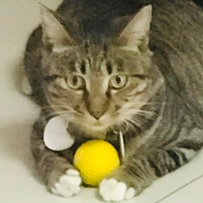 ally97017902's profile picture. 