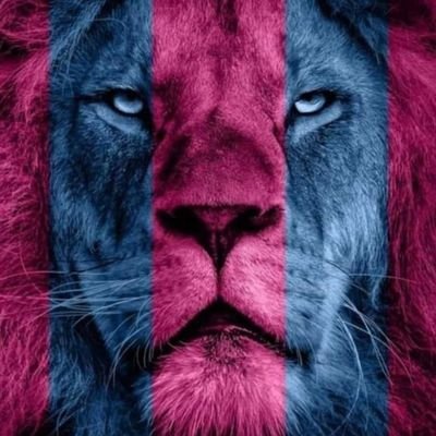 simonosborn12's profile picture. Aston Villa
Mercedes AMG F1
🏴󠁧󠁢󠁥󠁮󠁧󠁿far right now (apparently)🏴󠁧󠁢󠁥󠁮󠁧󠁿