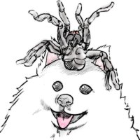 蜘蛛頭 (@kumoatama) 's Twitter Profile