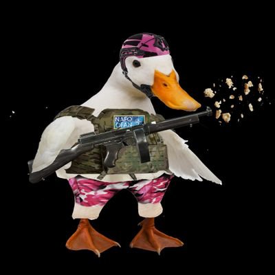 Just a grandmother and lover of wild ducks in my garden by the stream. Supporting Ukraine and sponsoring many UA guests.
No DM's.
#NAFO Ducks Division 💛💙