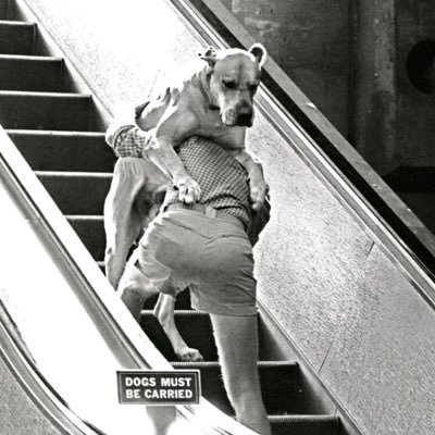 alymaydp's profile picture. 