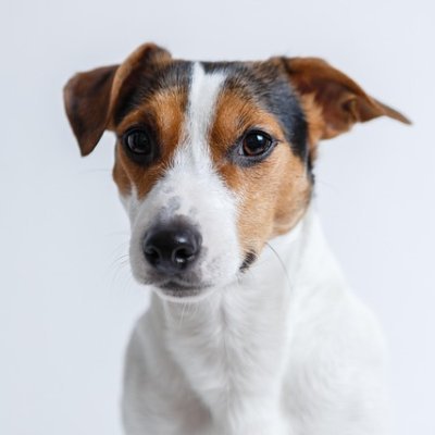 YonguDave's profile picture. "ツールと半裁量のコラボレーション！
　LINEで配信を受け、ご自身でエントリー。
　その後はツールが自動的に利確を行います。
　設定サポートも提供しており、全自動売買も好評です👍"