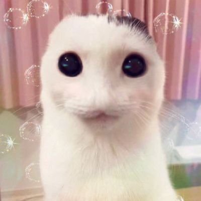 ガキさんのプロフィール画像
