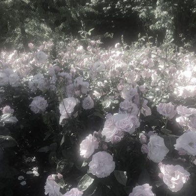 取引垢/🚺/18↓(義務教育終了済)