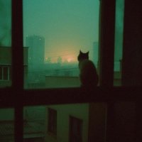 Binaa (@orekell) 's Twitter Profile