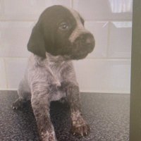 🇺🇦Sam Molloy 🇺🇦 (@nwamb_ptssam) 's Twitter Profile