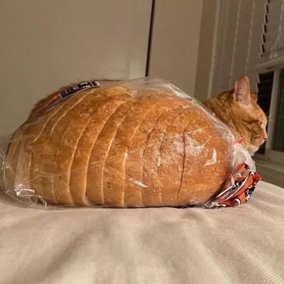 Li88151646's profile picture. 