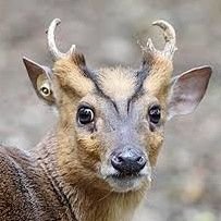 きょんさんのプロフィール画像